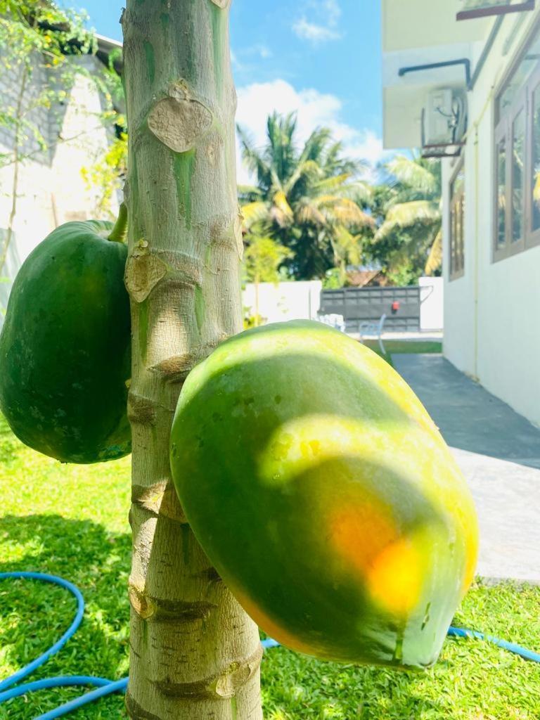 Twinstop Villa Minuwangoda Luaran gambar